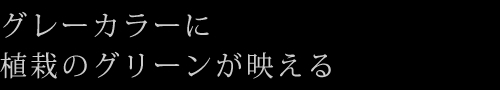 グレーカラーに植栽のグリーンが映える